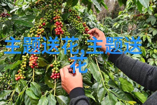 海口市周围的花店