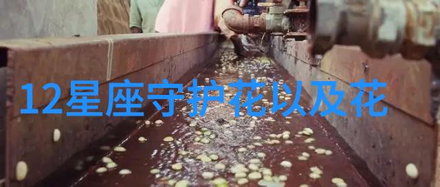 推荐5种适合春天养的花