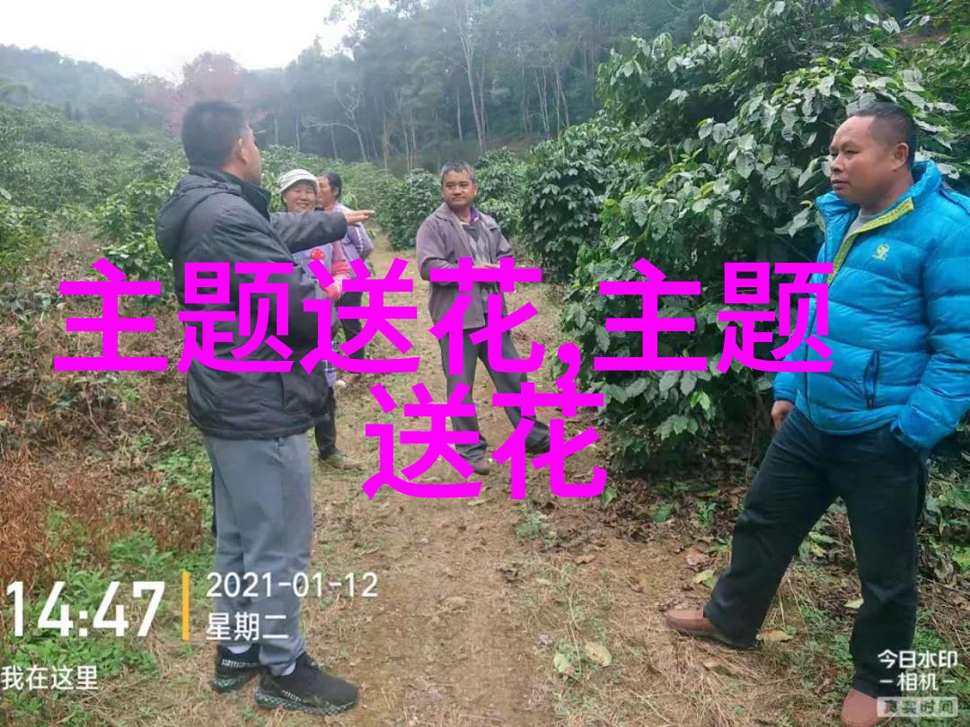 节送什么花好