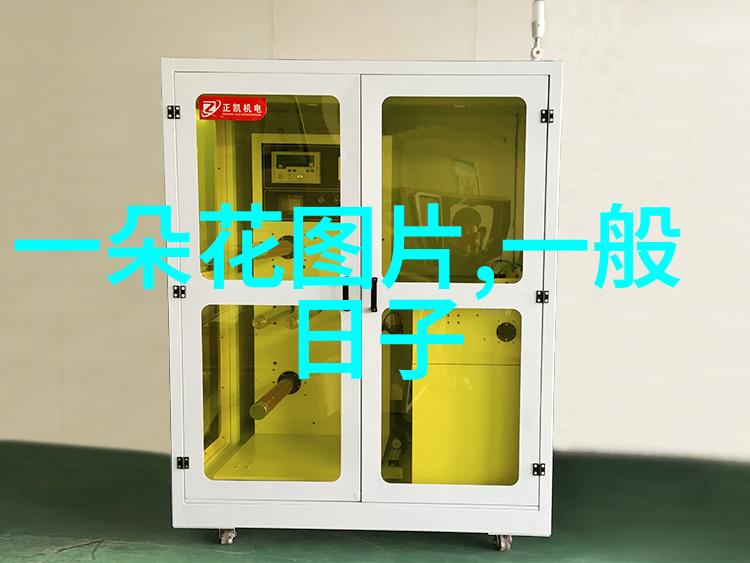 双11光棍节的由来及双11购物节