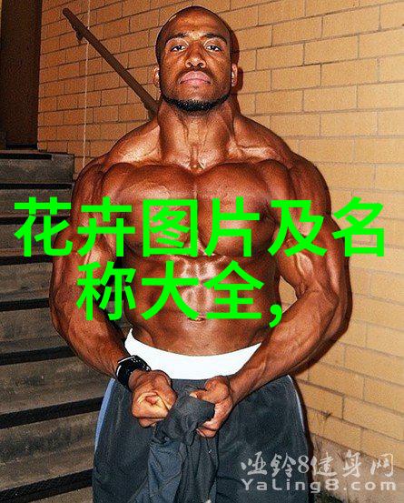 双11攻略 如何提高邀约女生的几率